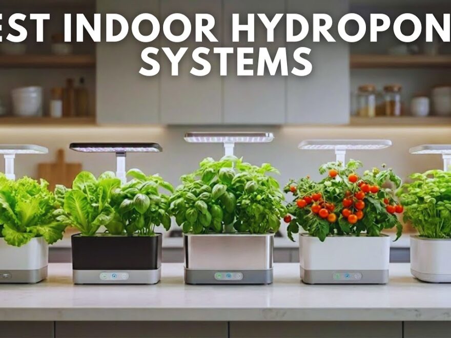 ai indoor hydroponic gardens review 2026